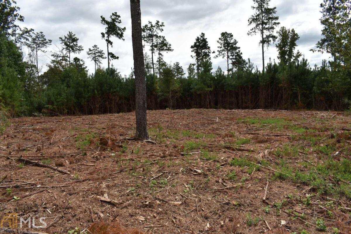 18.75 acre land tract just outside the city limits of Winterville in Oglethorpe County! Level tract with completed percolation test on the entire property (18.75 acres) giving ample options for home sites. Bring your builder! Just over 10 minutes to downtown Athens and the University of Georgia!
