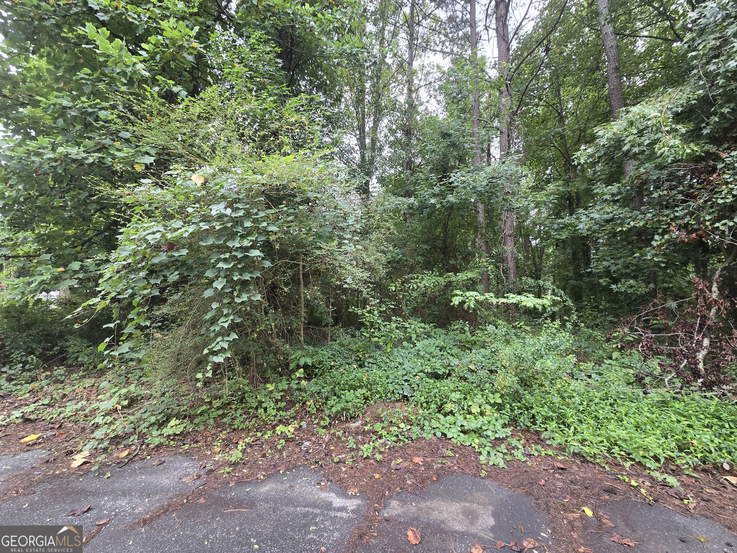 8043 Sparrow CT