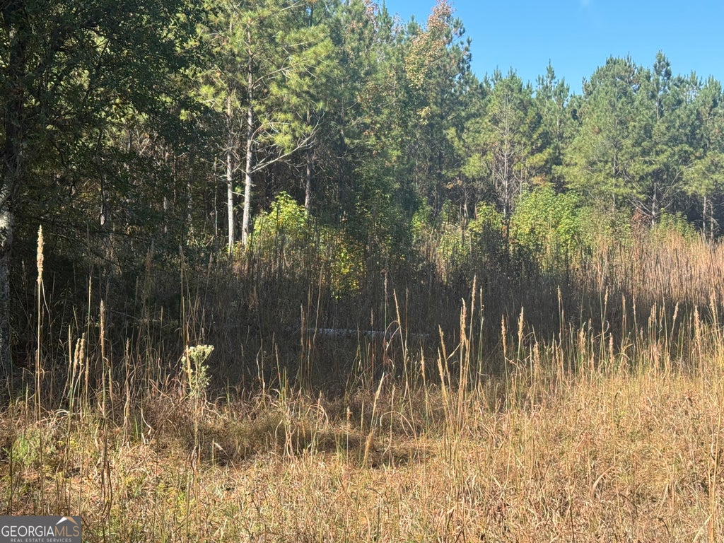 Photo of 0 Perimeter Road, Monticello, GA 31064 (MLS # 10118660)