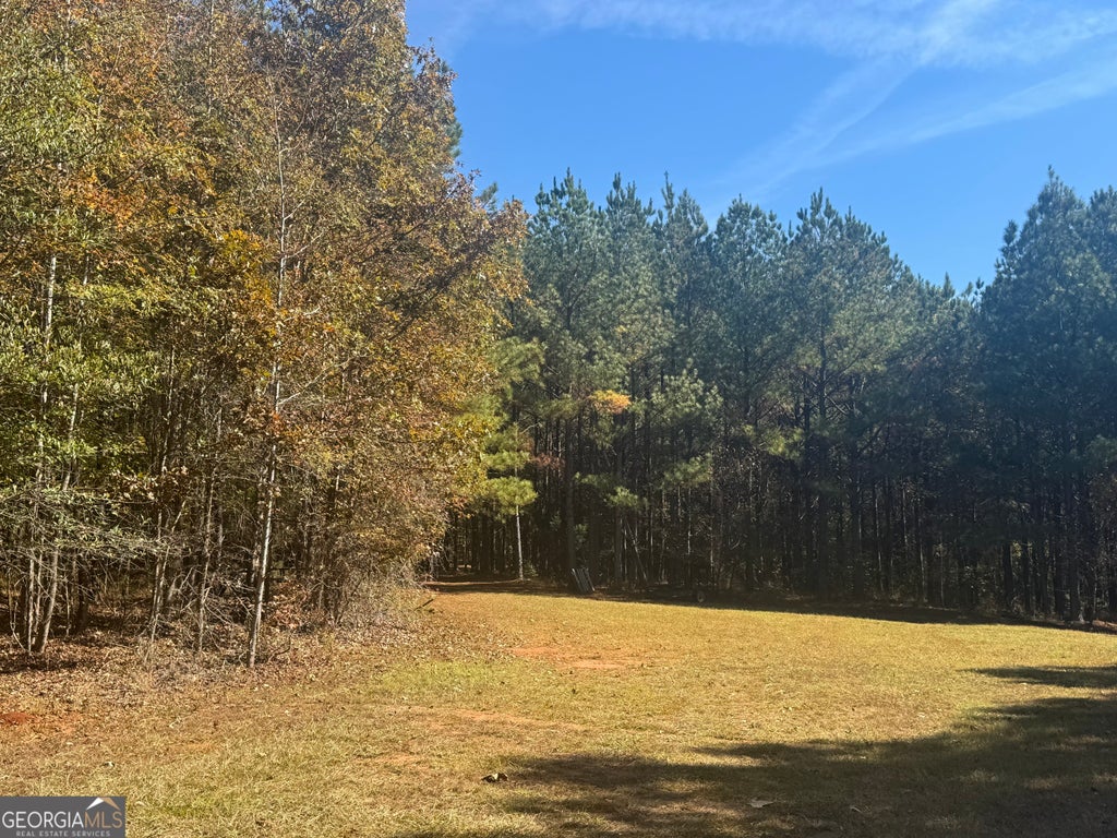 Photo of 0 Perimeter Road, Monticello, GA 31064 (MLS # 10118660)