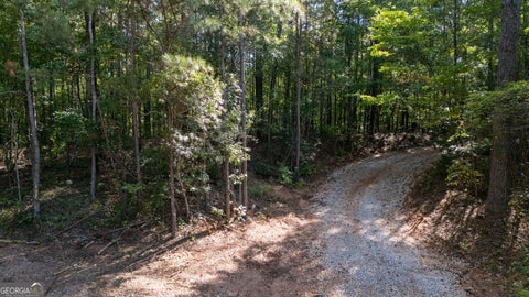 Photo of 1221 US Hwy 27, Franklin, GA 30217 (MLS # 10848621)