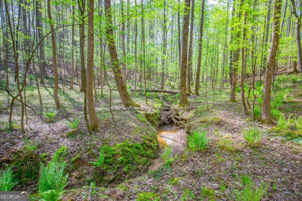 Photo of 0 Lake Esther Drive #LOT 2, Fairburn, GA 30213 (MLS # 10674428)