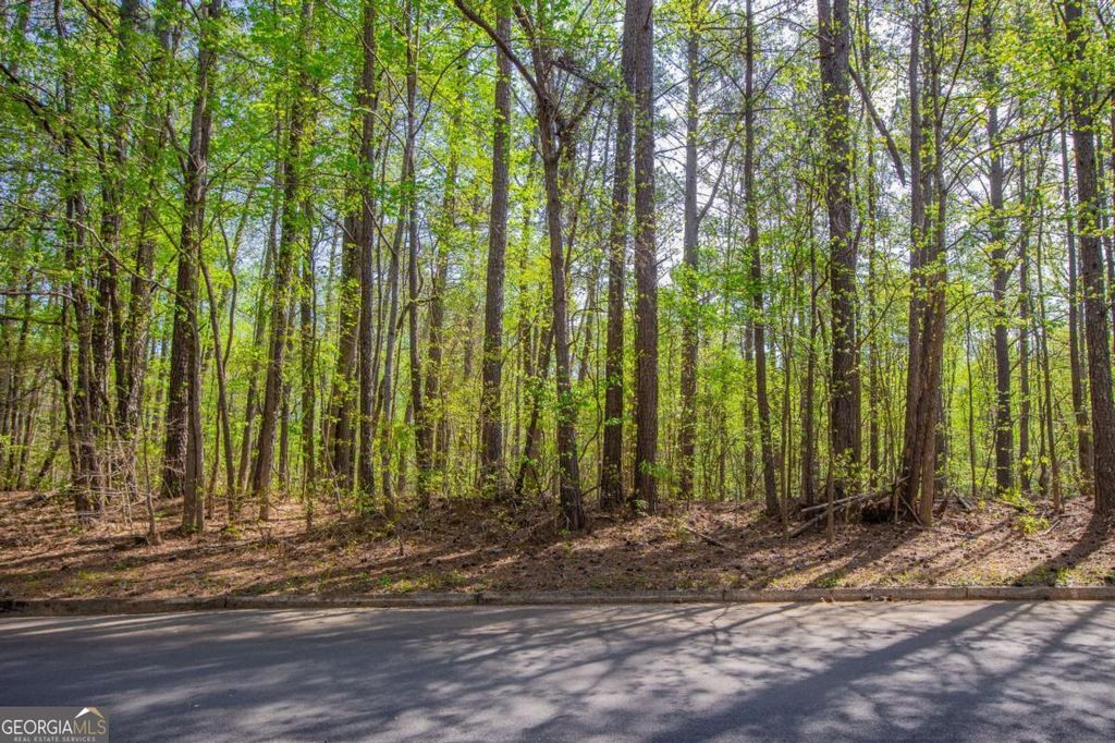 Photo of 0 Lake Esther Drive #LOT 2, Fairburn, GA 30213 (MLS # 10674428)