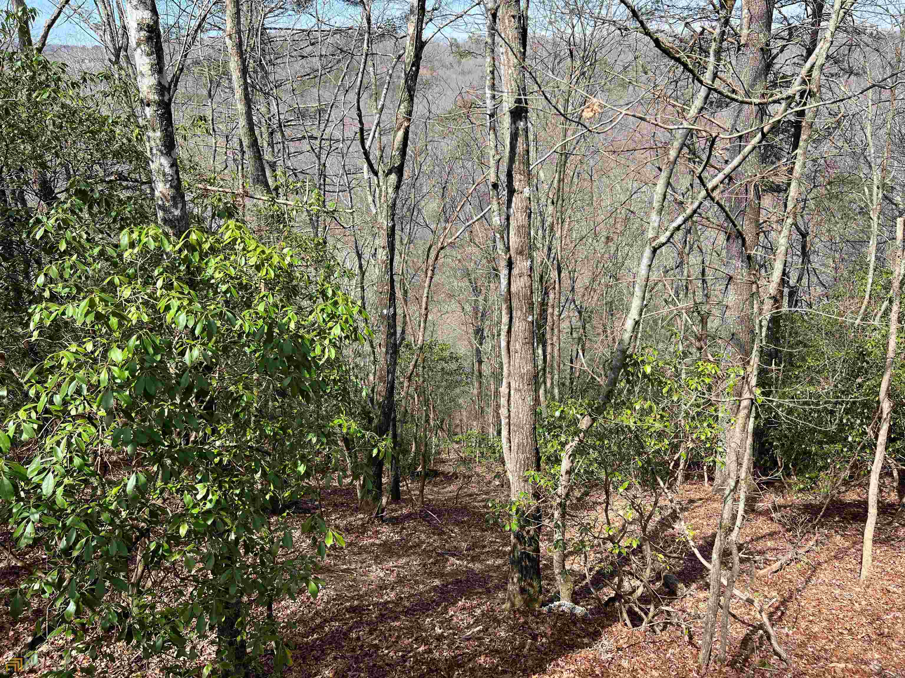 0 Cross Creek RD