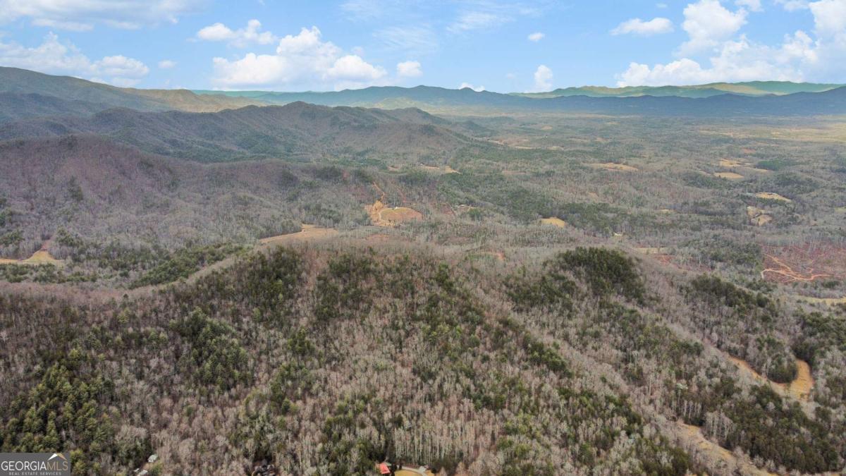 401 Dancing Leaves TRL