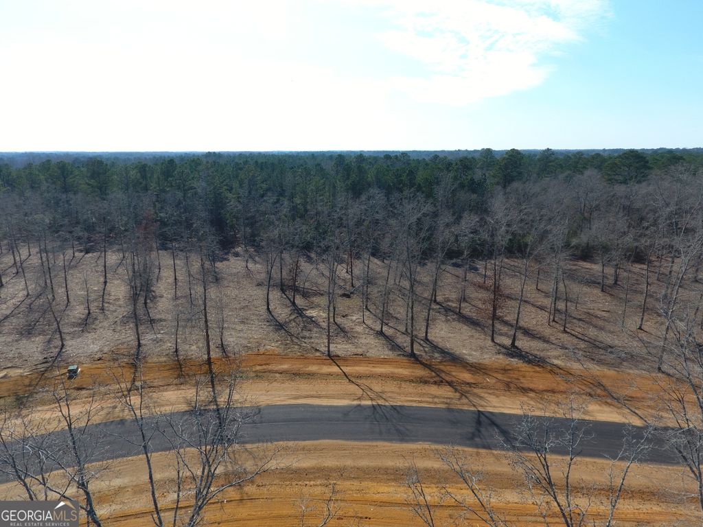 Photo of 0 Holly Ridge Lot 3, Dublin, GA 31021 (MLS # 10693625)