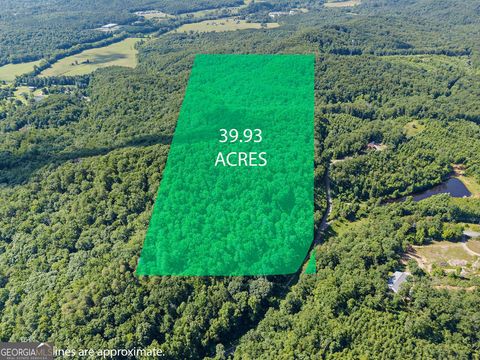 Photo of 0 Shinbone Ridge Road, Lafayette, GA 30728 (MLS # 10790339)