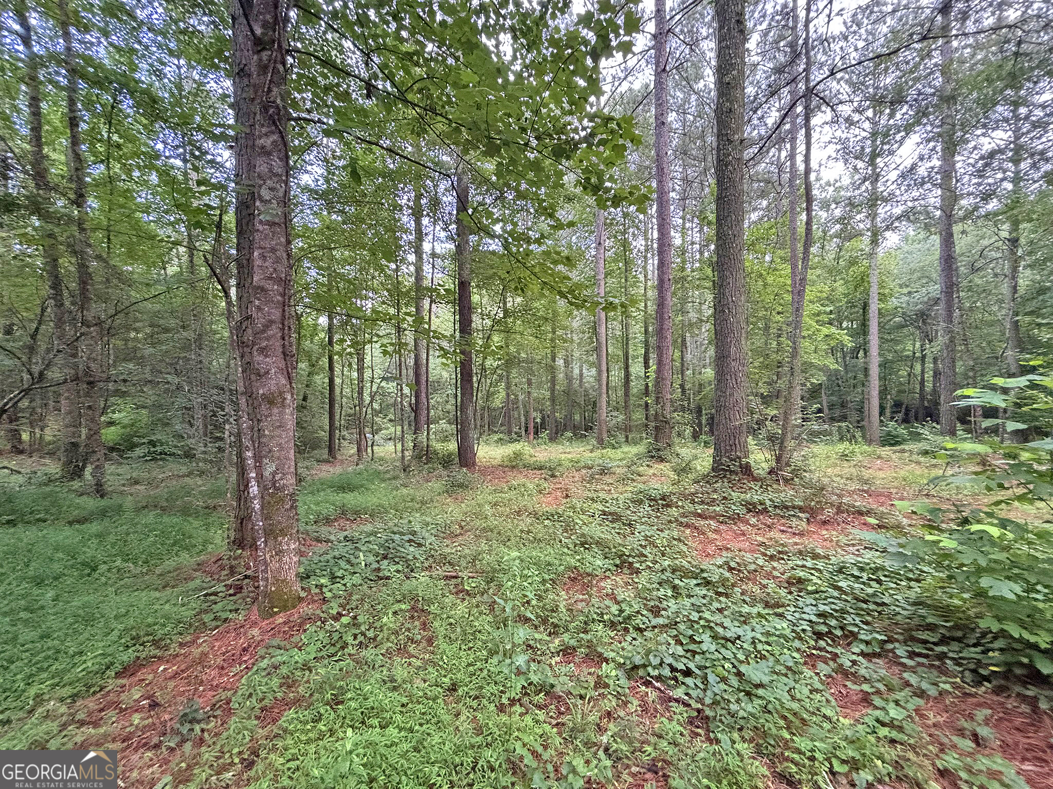 10AC Yonder WAY