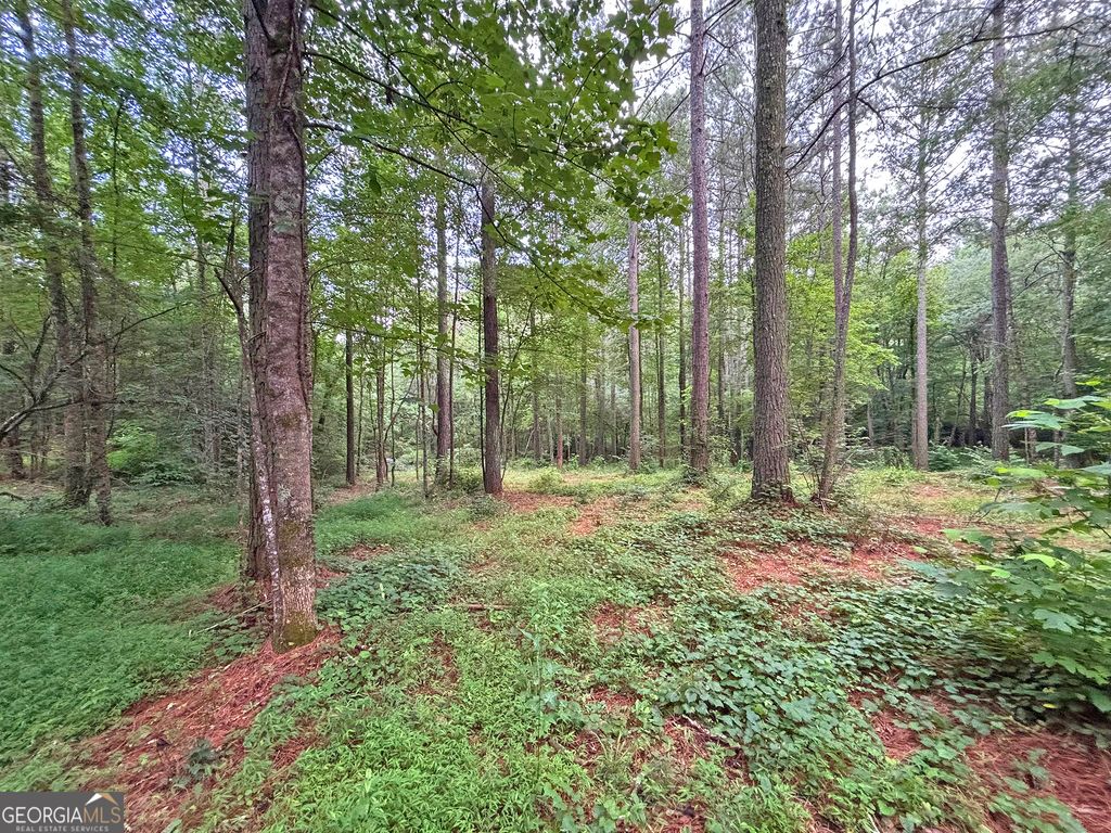 Photo of 10 Yonder Way, Talking Rock, GA 30175 (MLS # 10808057)