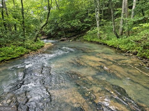 Photo of 10 Yonder Way, Talking Rock, GA 30175 (MLS # 10808057)