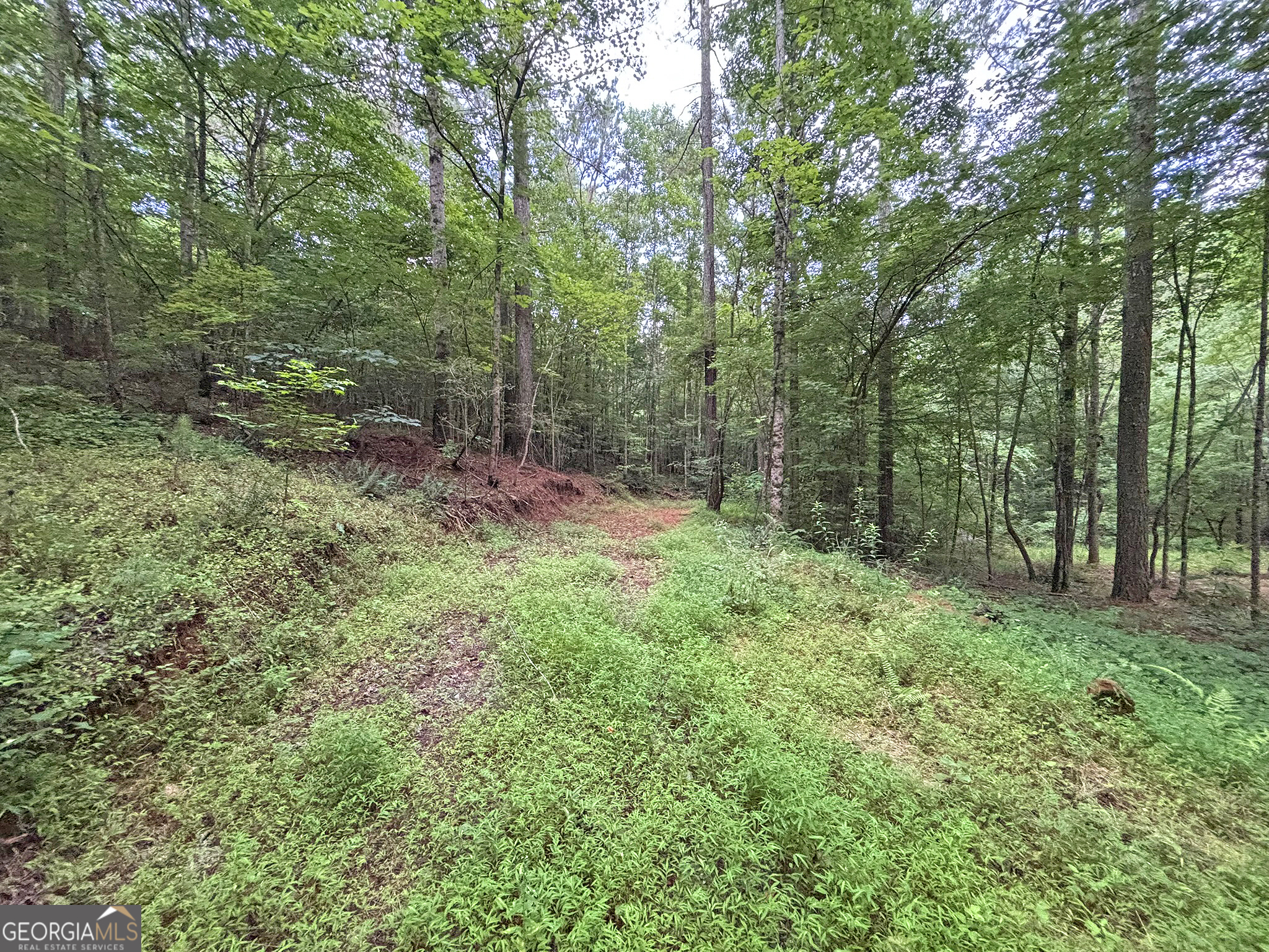 10AC Yonder WAY