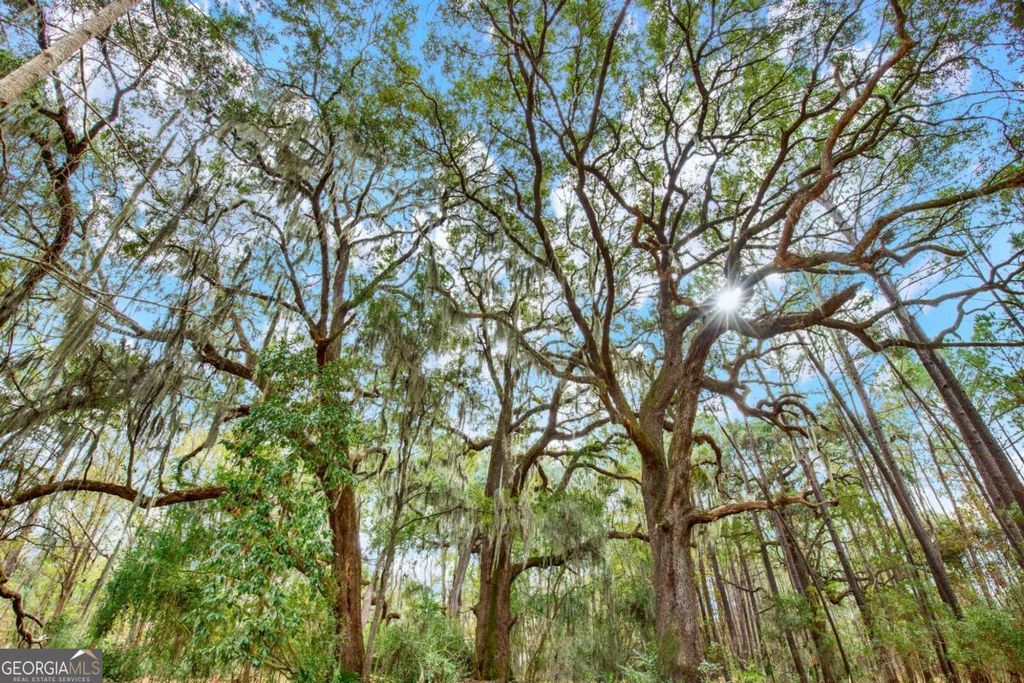 Photo of 181199 Burton Road, Savannah, GA 31405 (MLS # 10665028)