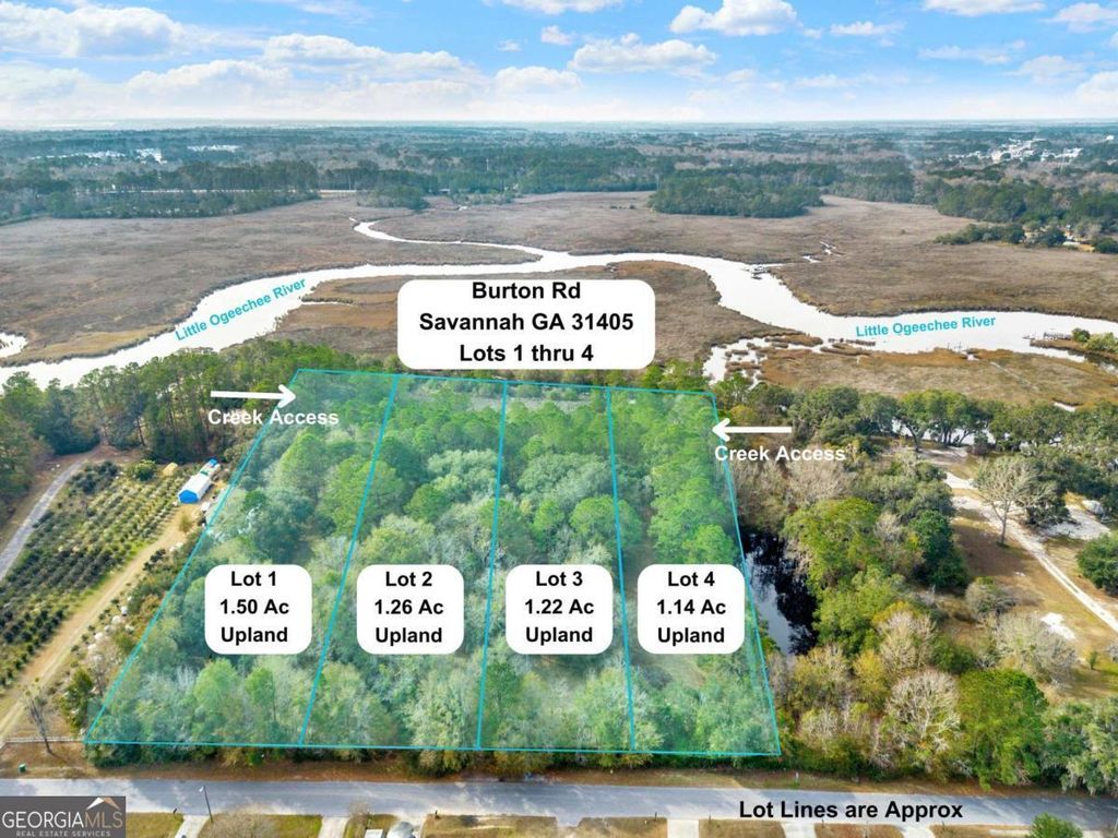 Photo of 181199 Burton Road, Savannah, GA 31405 (MLS # 10665028)