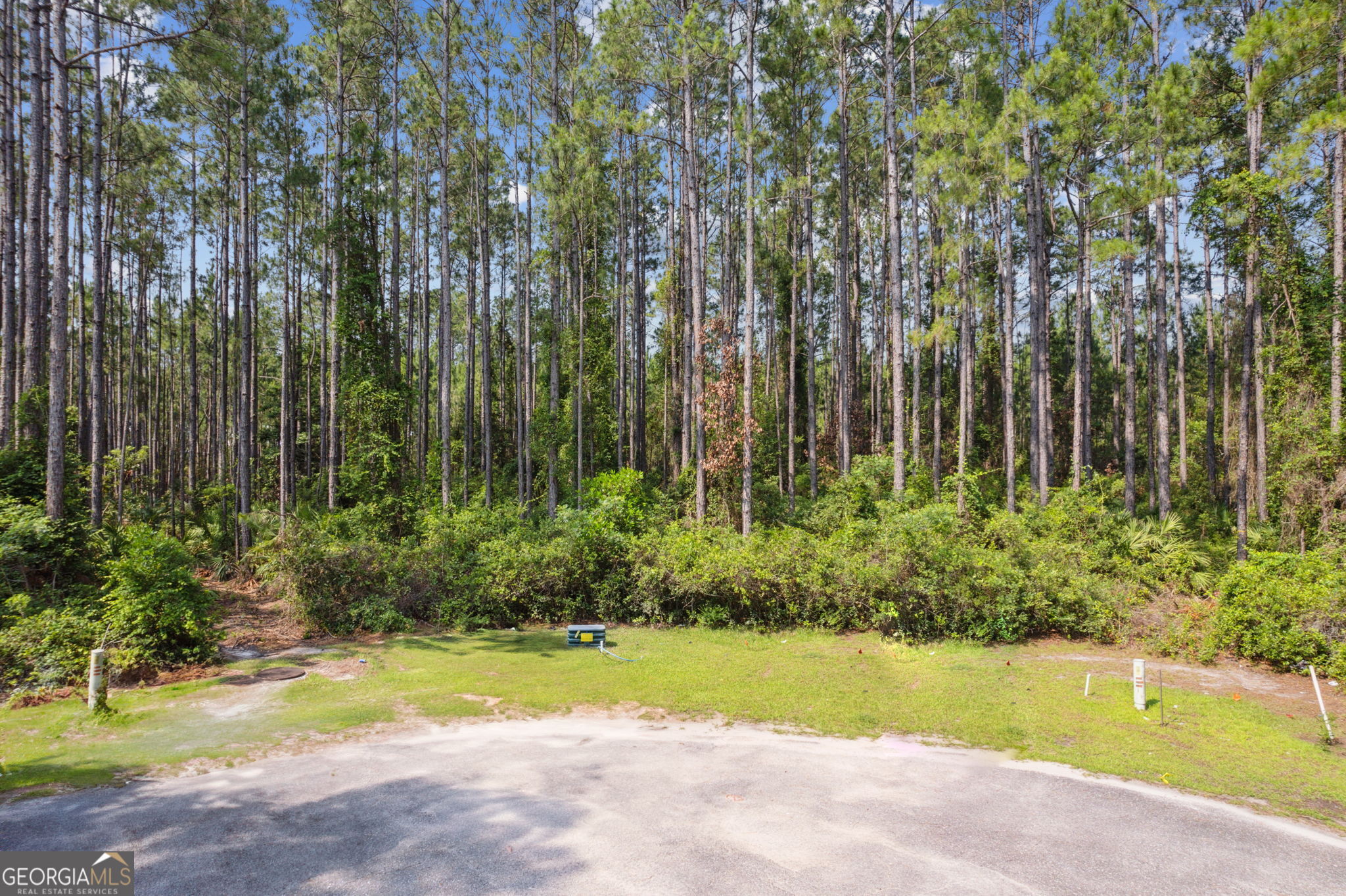 116 Wild Horse CT