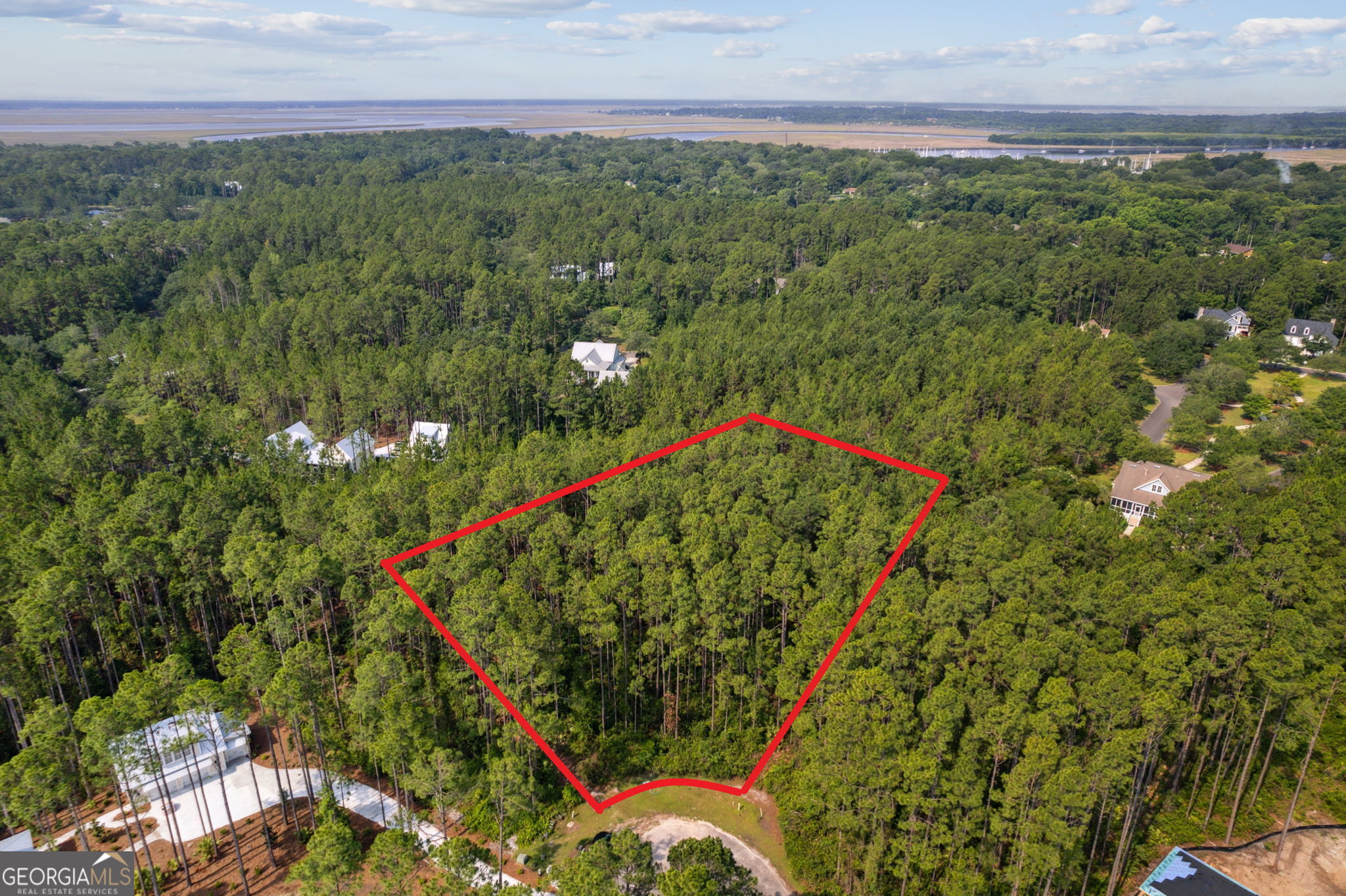 116 Wild Horse CT