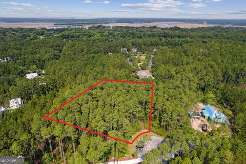 Photo of 116 Wild Horse Court, St. Marys, GA 31558 (MLS # 10535803)