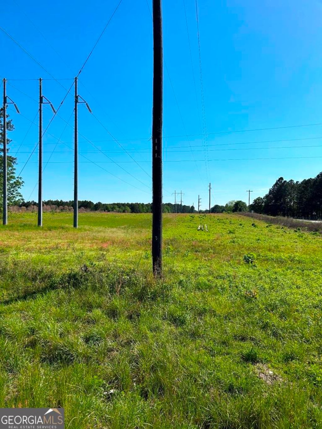 Photo of 0 Hwy 301 N. &amp; Old River Road, Statesboro, GA 30461 (MLS # 10757223)