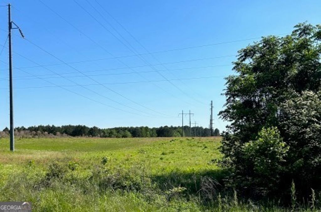 Photo of 0 Hwy 301 N. &amp; Old River Road, Statesboro, GA 30461 (MLS # 10757223)