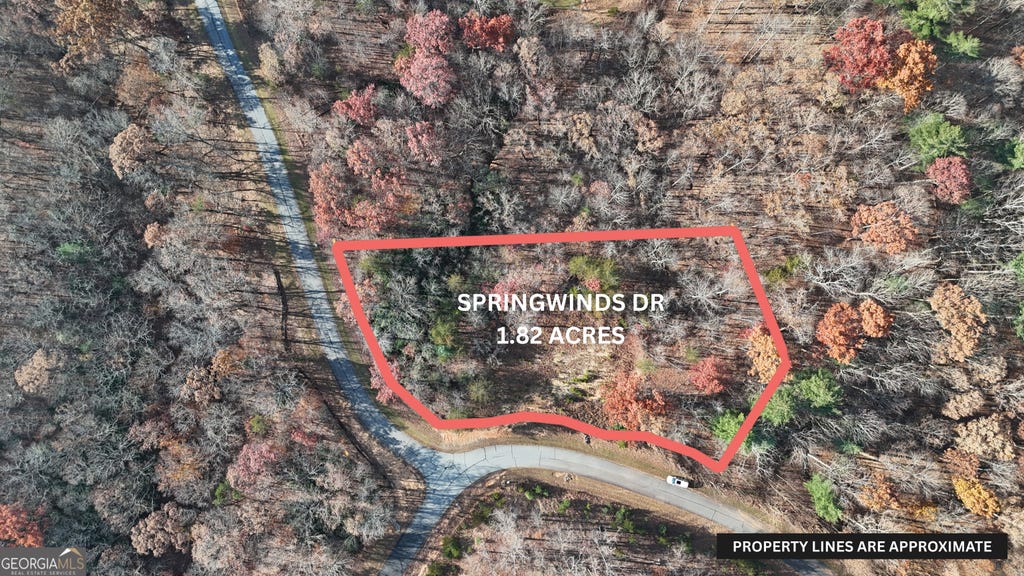 Photo of 197 Springwinds Drive, Cleveland, GA 30528 (MLS # 10813770)
