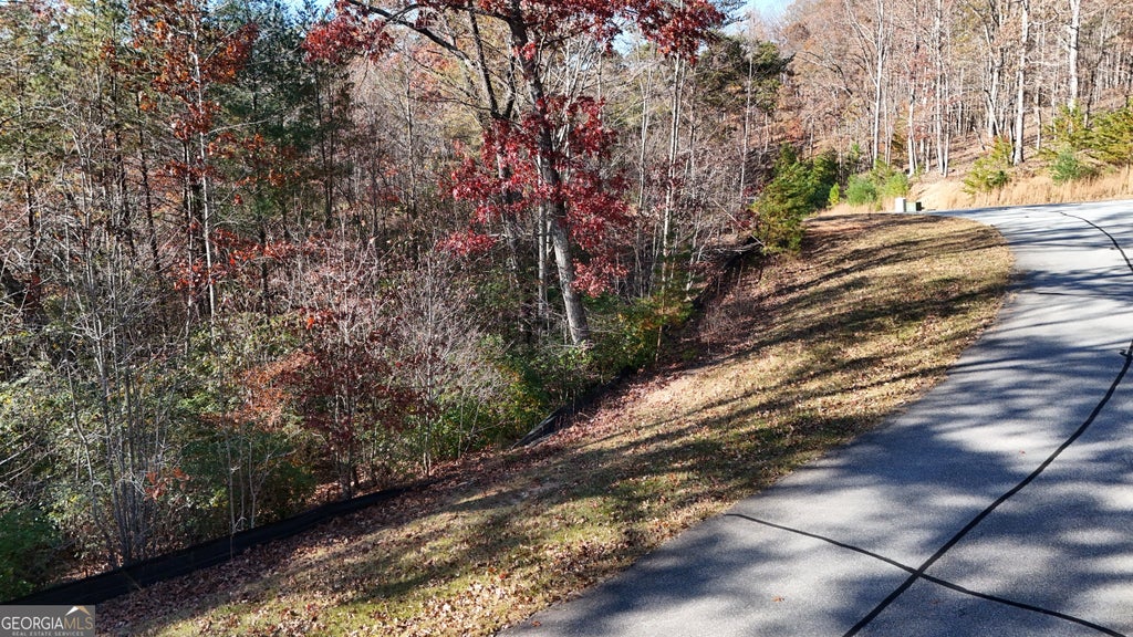 Photo of 197 Springwinds Drive, Cleveland, GA 30528 (MLS # 10813770)