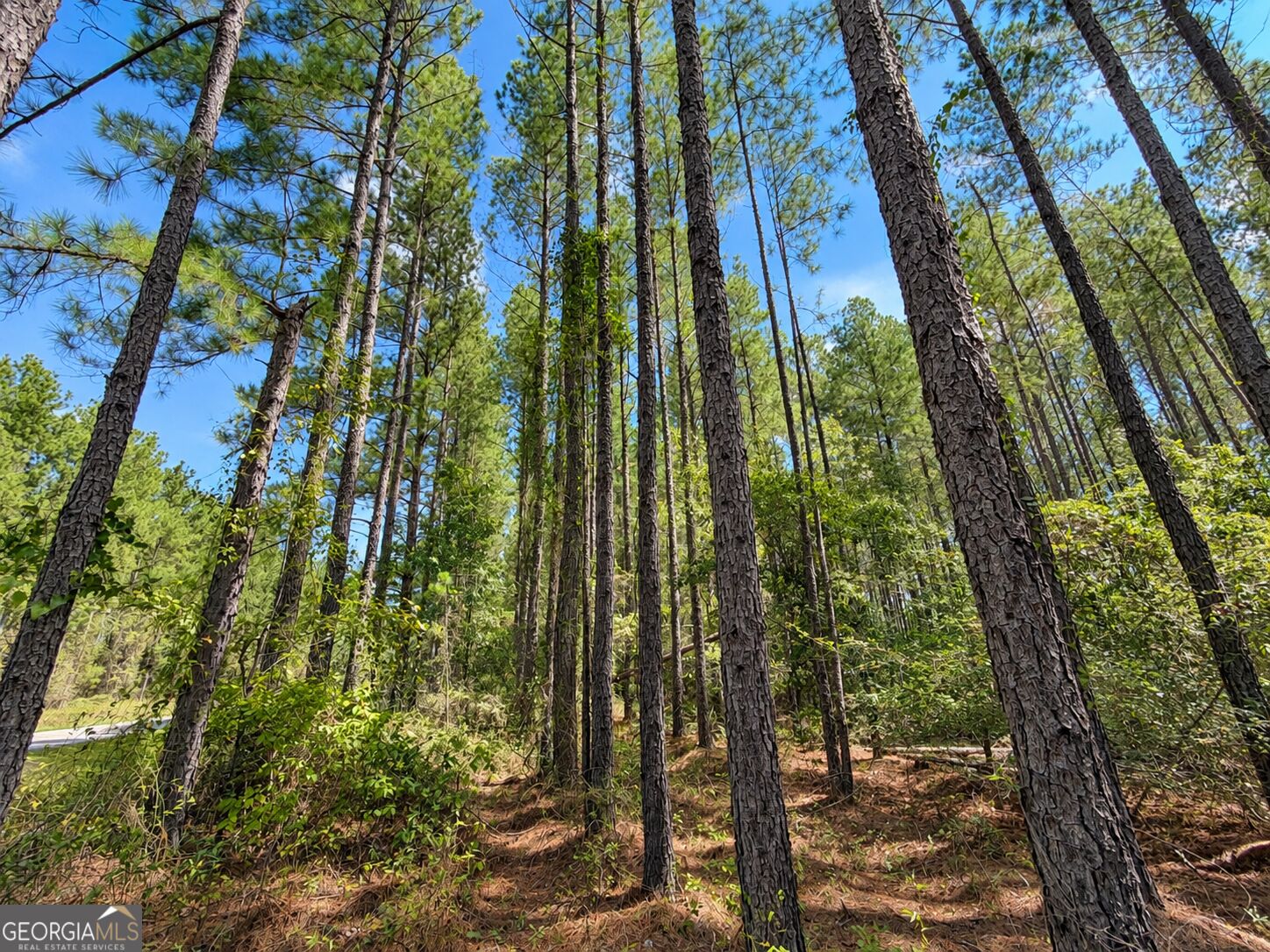9.01 ACRES Owens RD