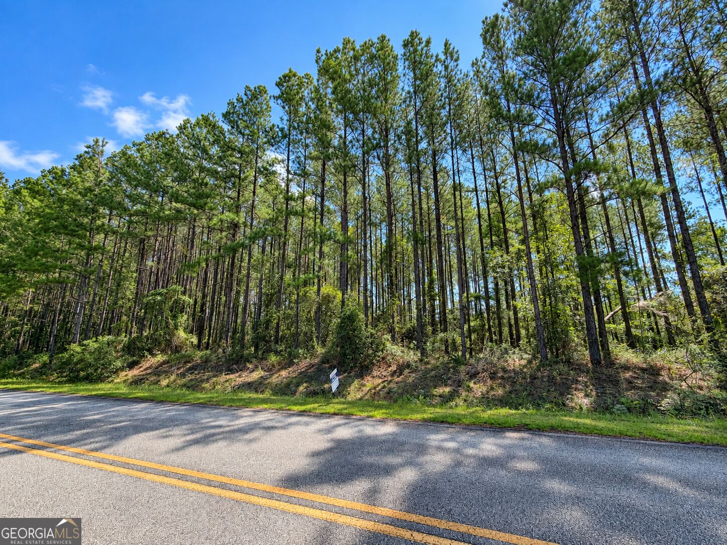 9.01 ACRES Owens RD