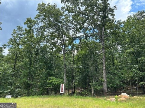 Photo of 0 Hamilton Road #11, Chattahoochee Hills, GA 30268 (MLS # 10809354)