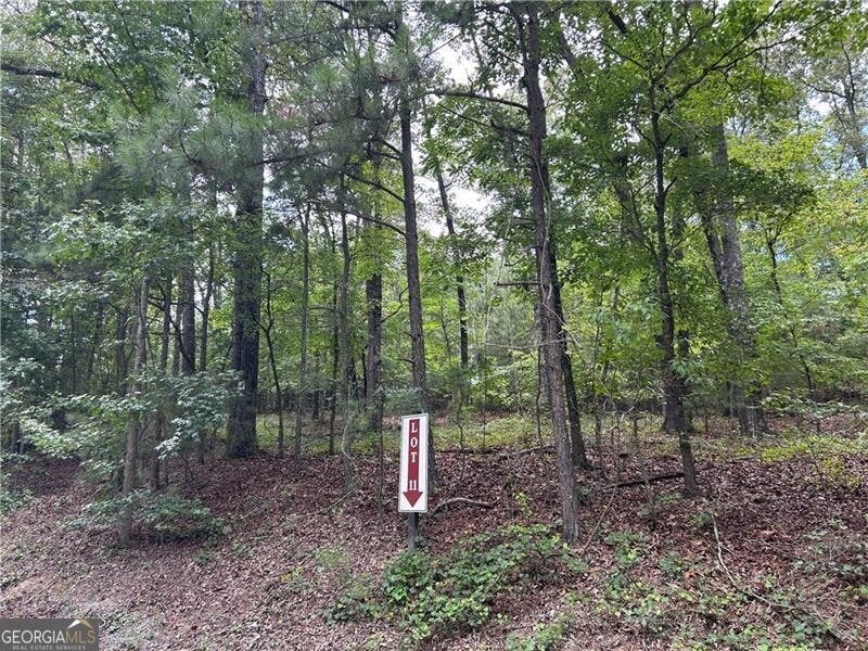 Photo of 0 Hamilton Road #11, Chattahoochee Hills, GA 30268 (MLS # 10809354)