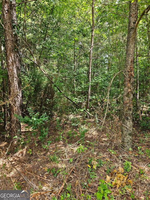 327 Jeffers RD Buchanan GA 30113