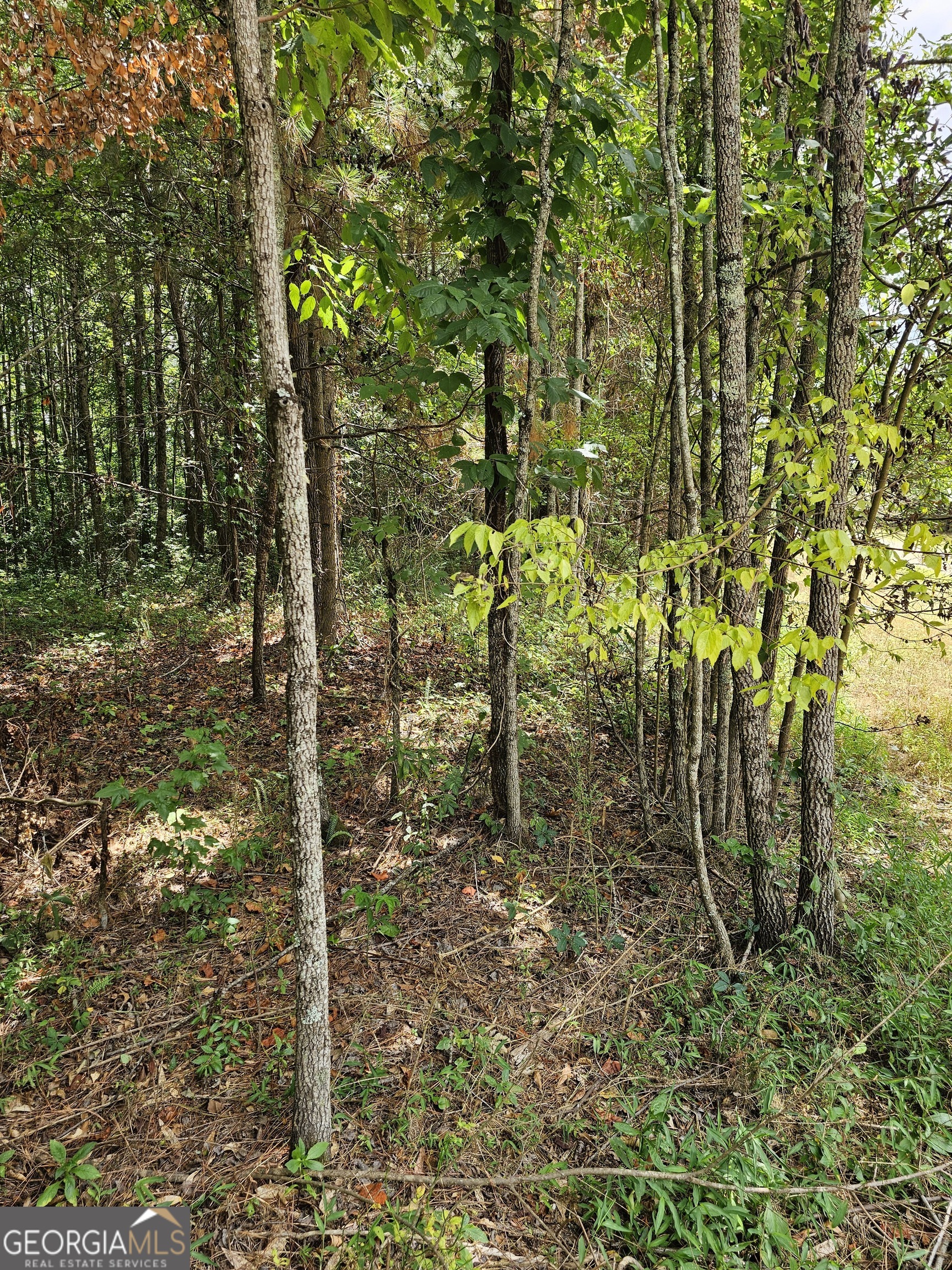 327 Jeffers RD