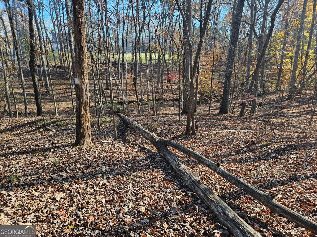 Photo of 7629 Dogwood Way, Murrayville, GA 30564 (MLS # 10717912)