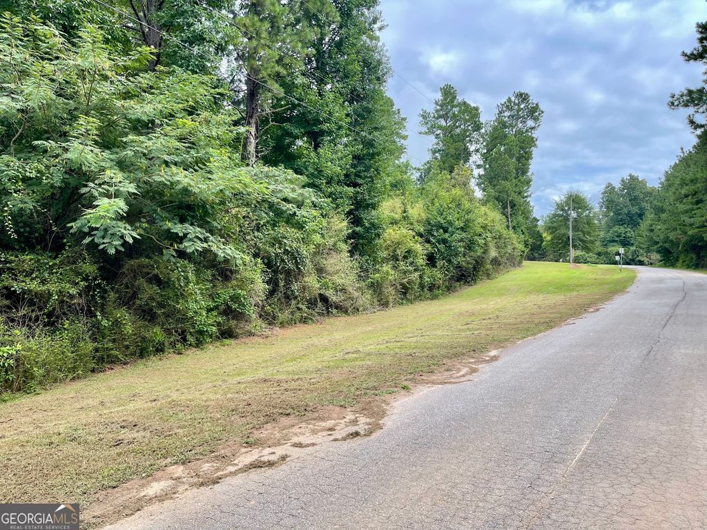 Photo of 50 Winding Lane, Locust Grove, GA 30248 (MLS # 10662846)