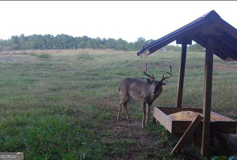 Photo of 0 Hwy 80, Talbotton, GA 31827 (MLS # 10638578)