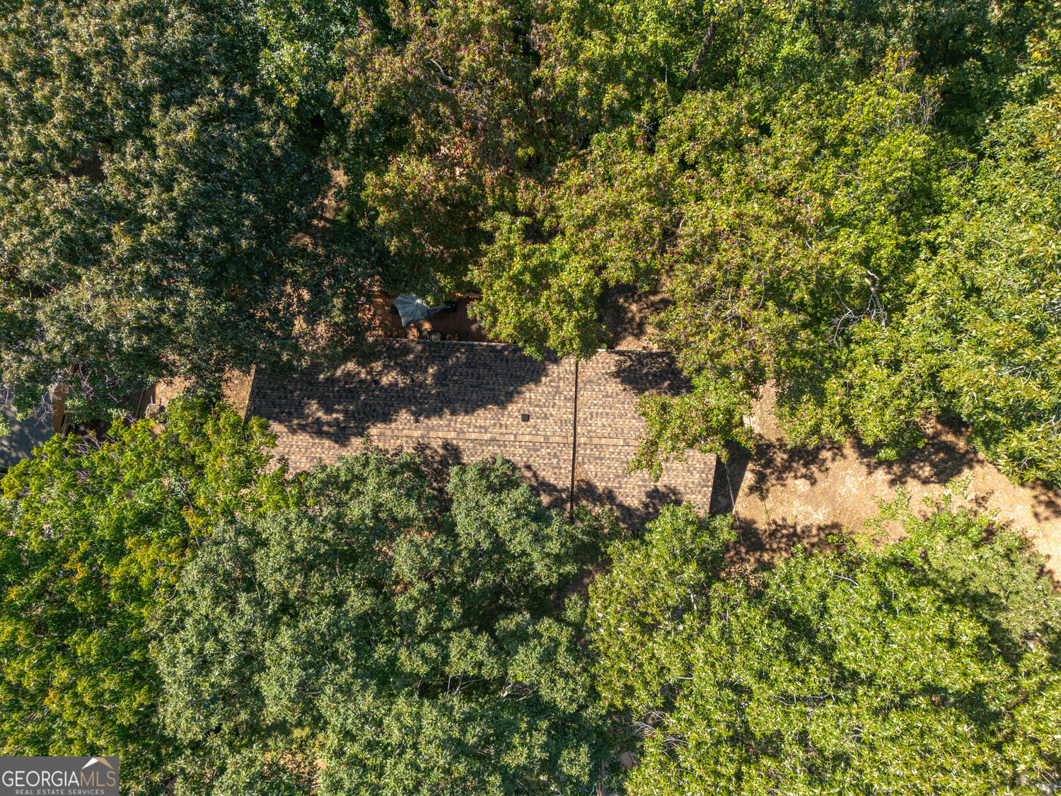 Flowery Branch, Georgia 30542, United States, 3 Bedrooms Bedrooms, ,2 BathroomsBathrooms,Residential,Active,208465