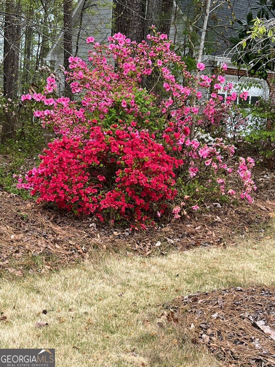 Wynford Chace - Residential