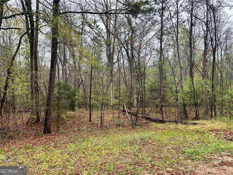 Photo of 0 Walker Mountain Road SW, Rome, GA 30161 (MLS # 10839396)