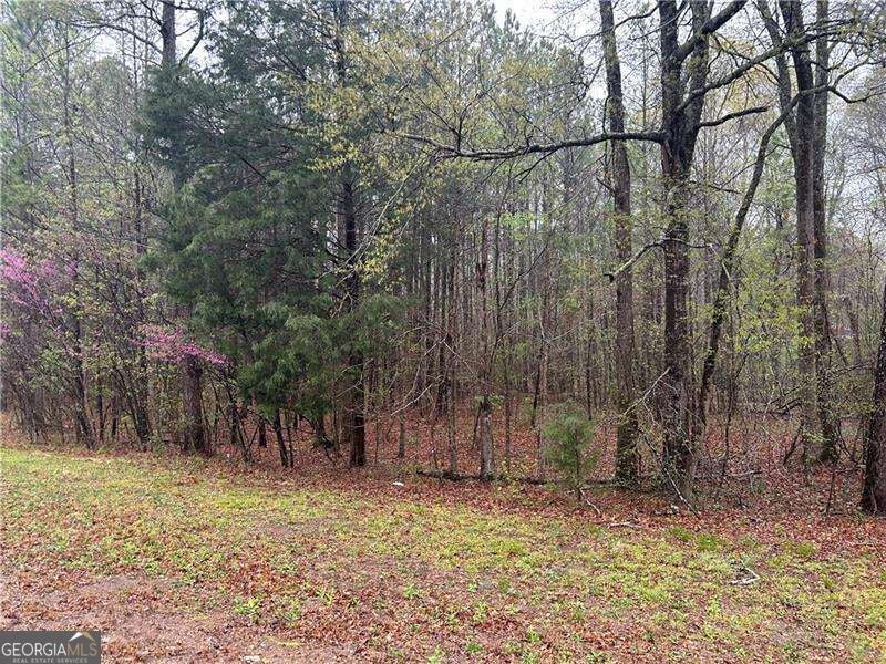 Photo of 0 Walker Mountain Road SW, Rome, GA 30161 (MLS # 10839396)