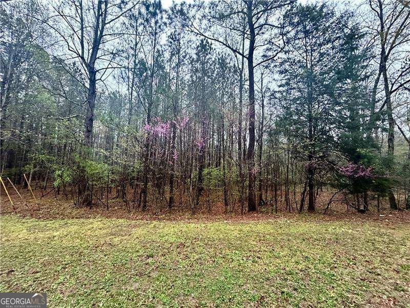 Photo of 0 Walker Mountain Road SW, Rome, GA 30161 (MLS # 10839396)