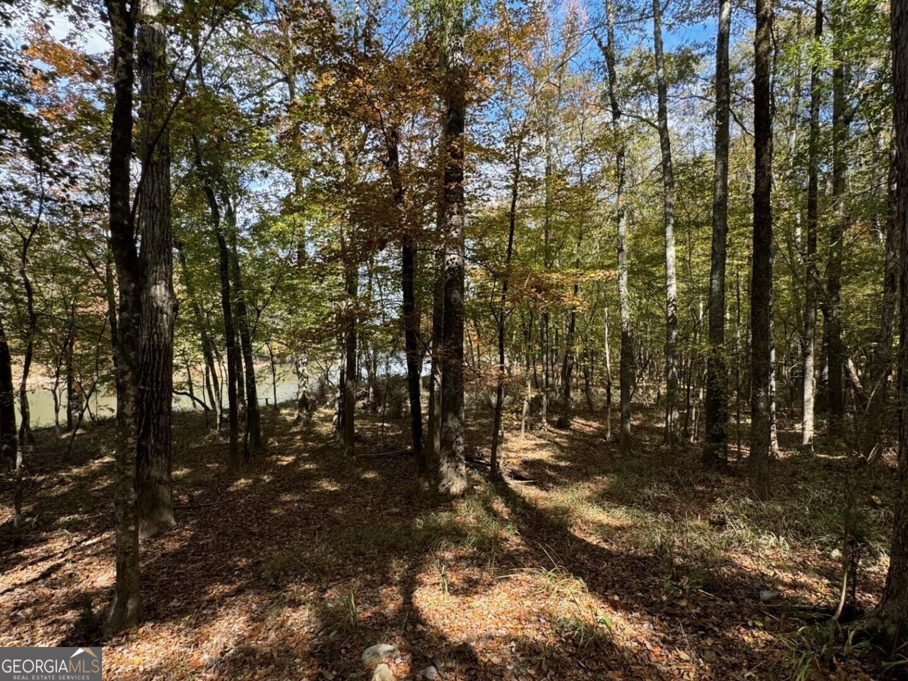 9.09 ACRE Flint River RD