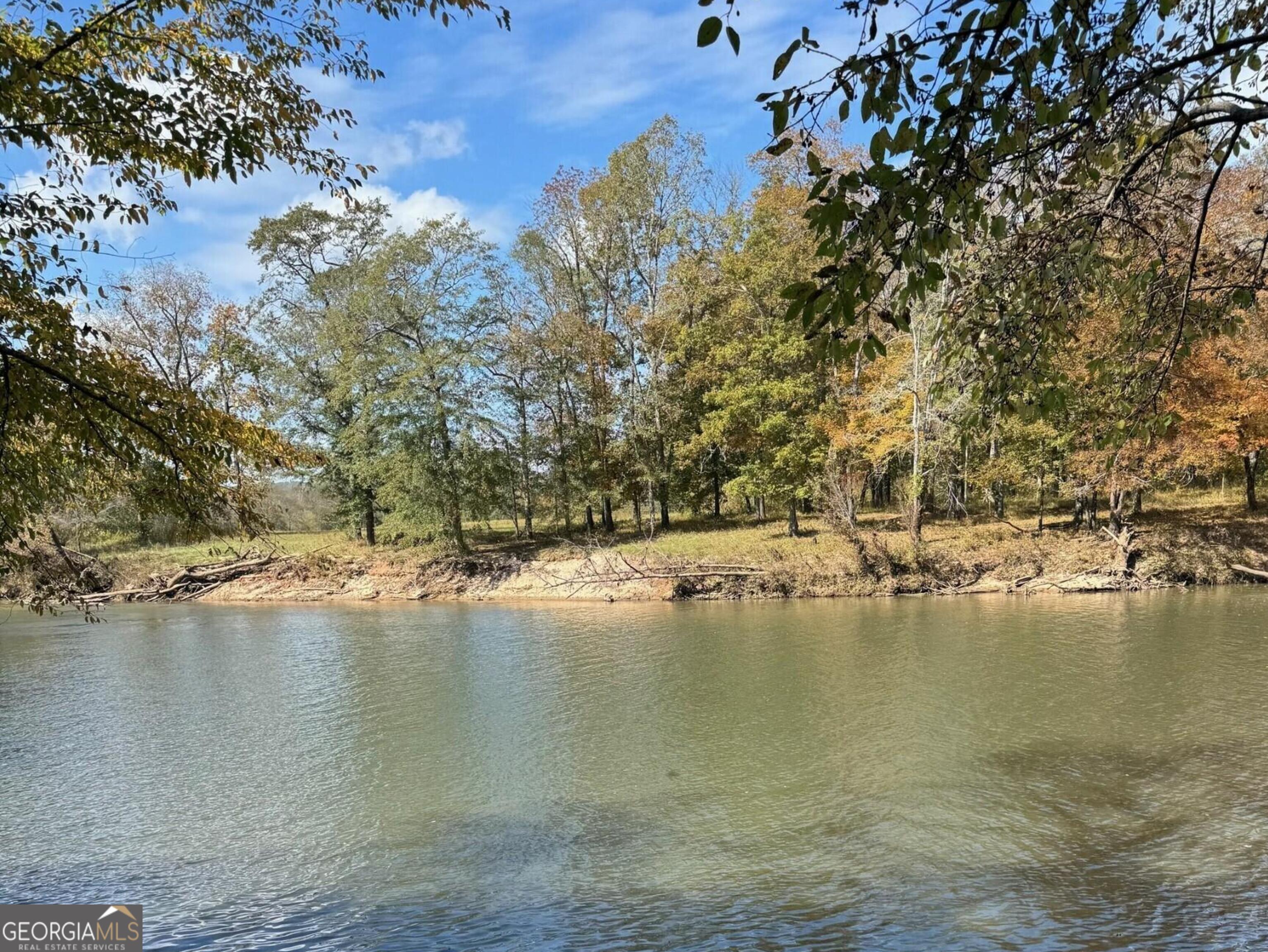 9.09 ACRE Flint River RD