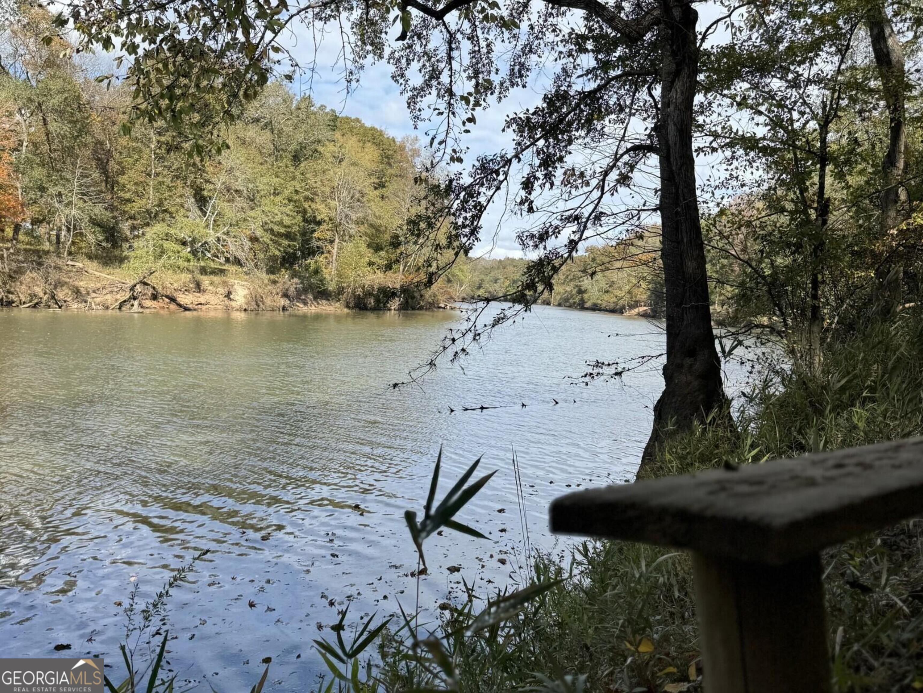 9.09 ACRE Flint River RD