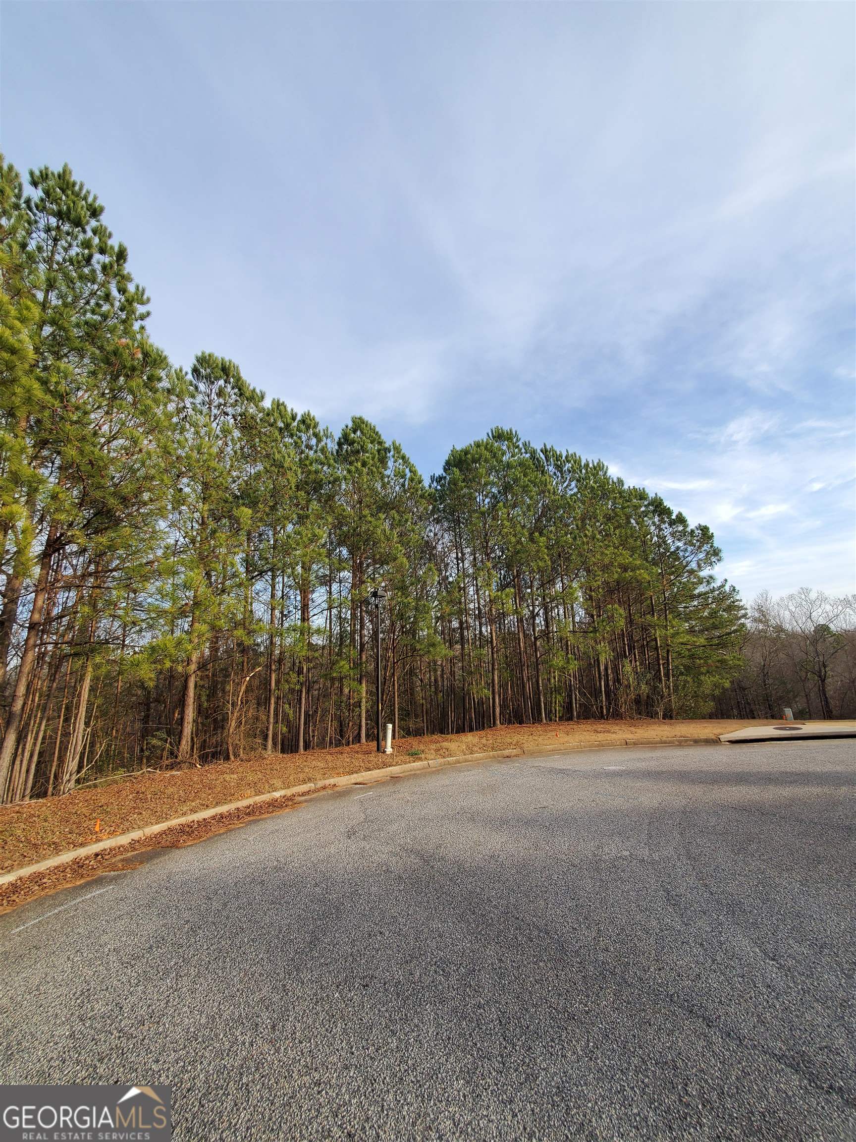 7731 Windswept WAY