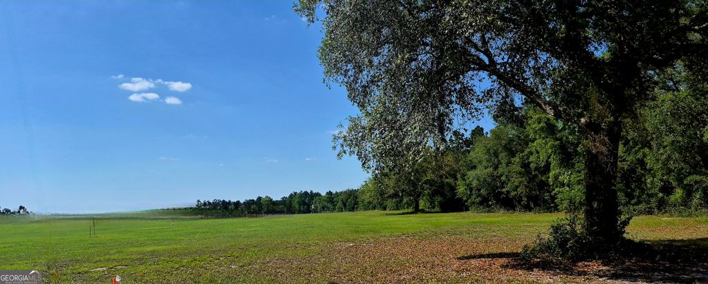 Photo of 469 Barber Branch RD, Saint George, GA 31562 (MLS # 10767943)