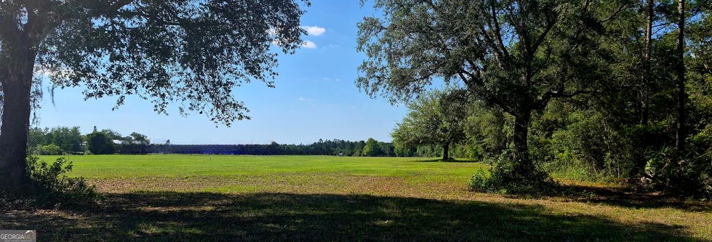 Photo of 469 Barber Branch RD, Saint George, GA 31562 (MLS # 10767943)