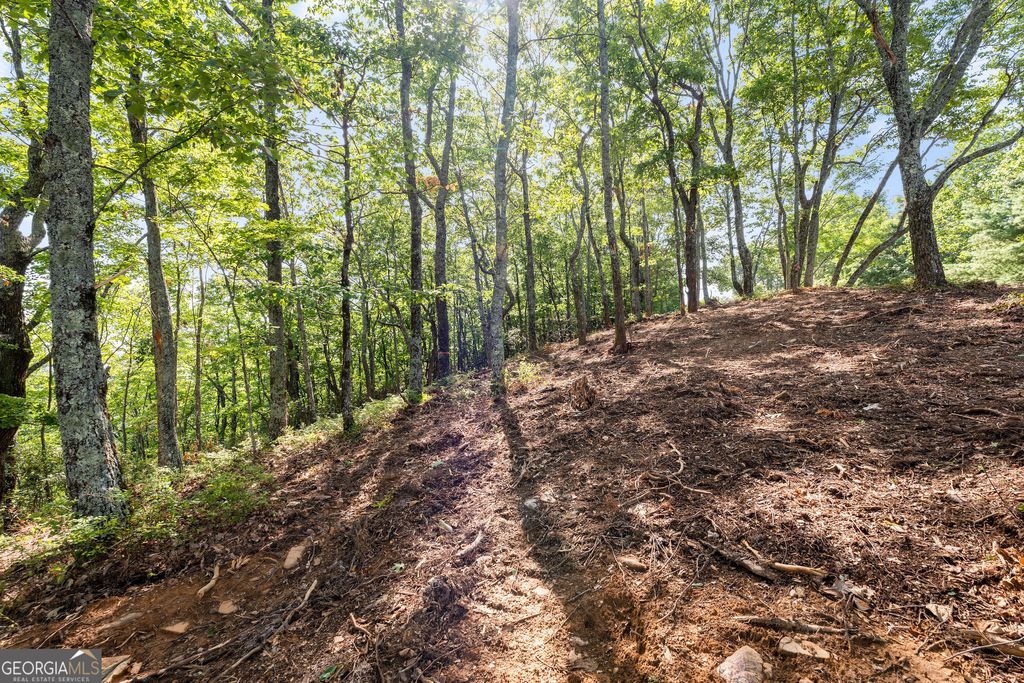 Photo of 347 Highlands Drive, Clarkesville, GA 30523 (MLS # 10688135)