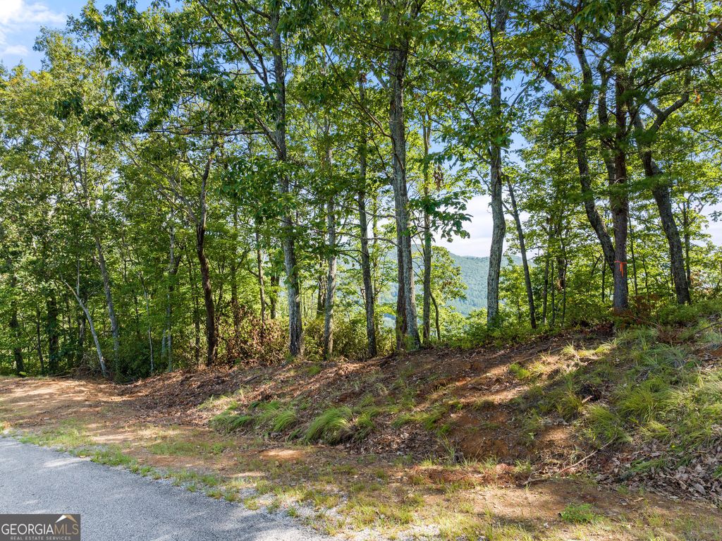 Photo of 347 Highlands Drive, Clarkesville, GA 30523 (MLS # 10688135)