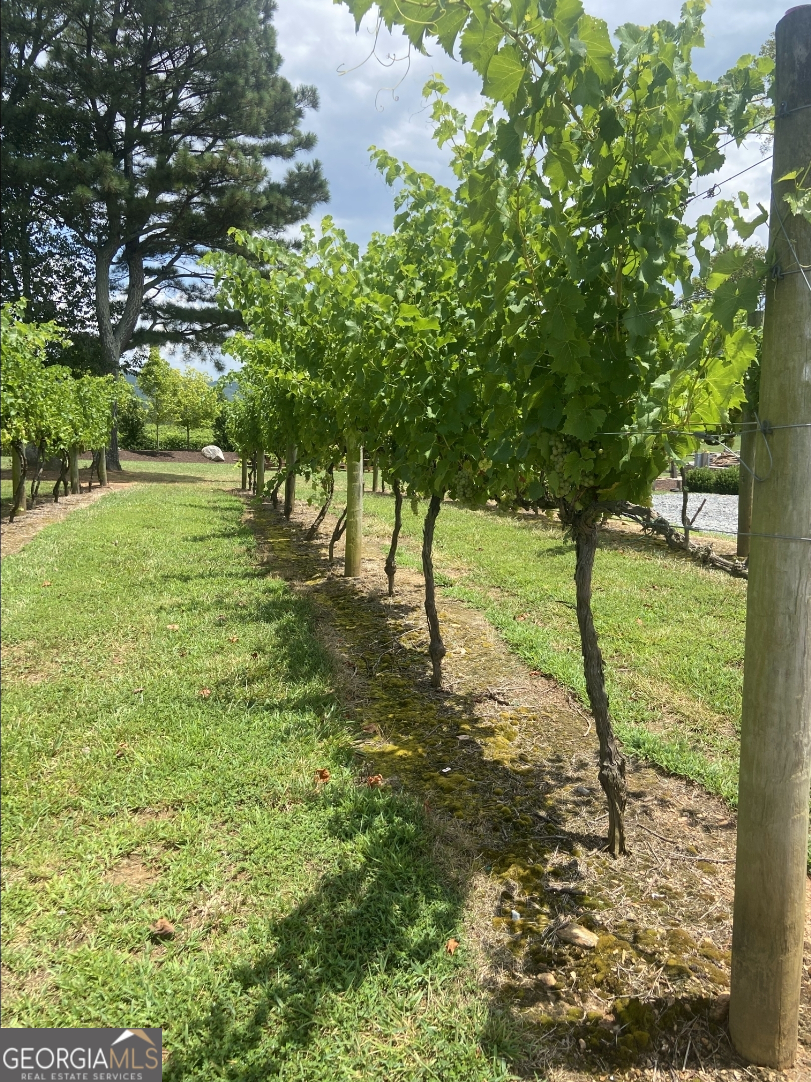 LOT 223 Oak Park DR