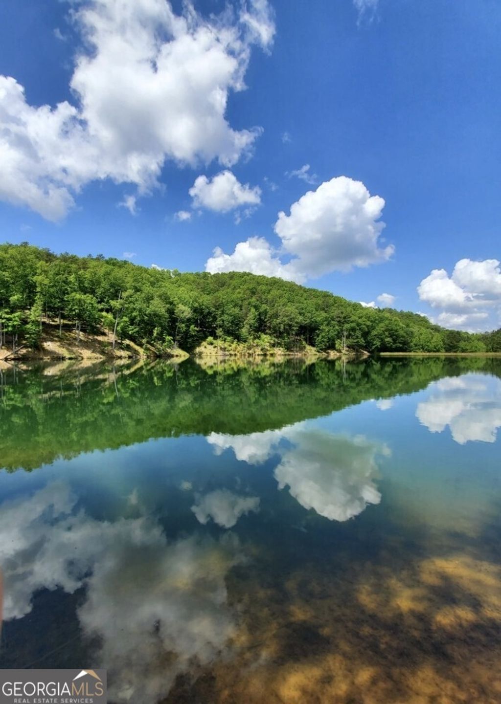 Photo of 1235 Crown Court, Ranger, GA 30734 (MLS # 10695004)