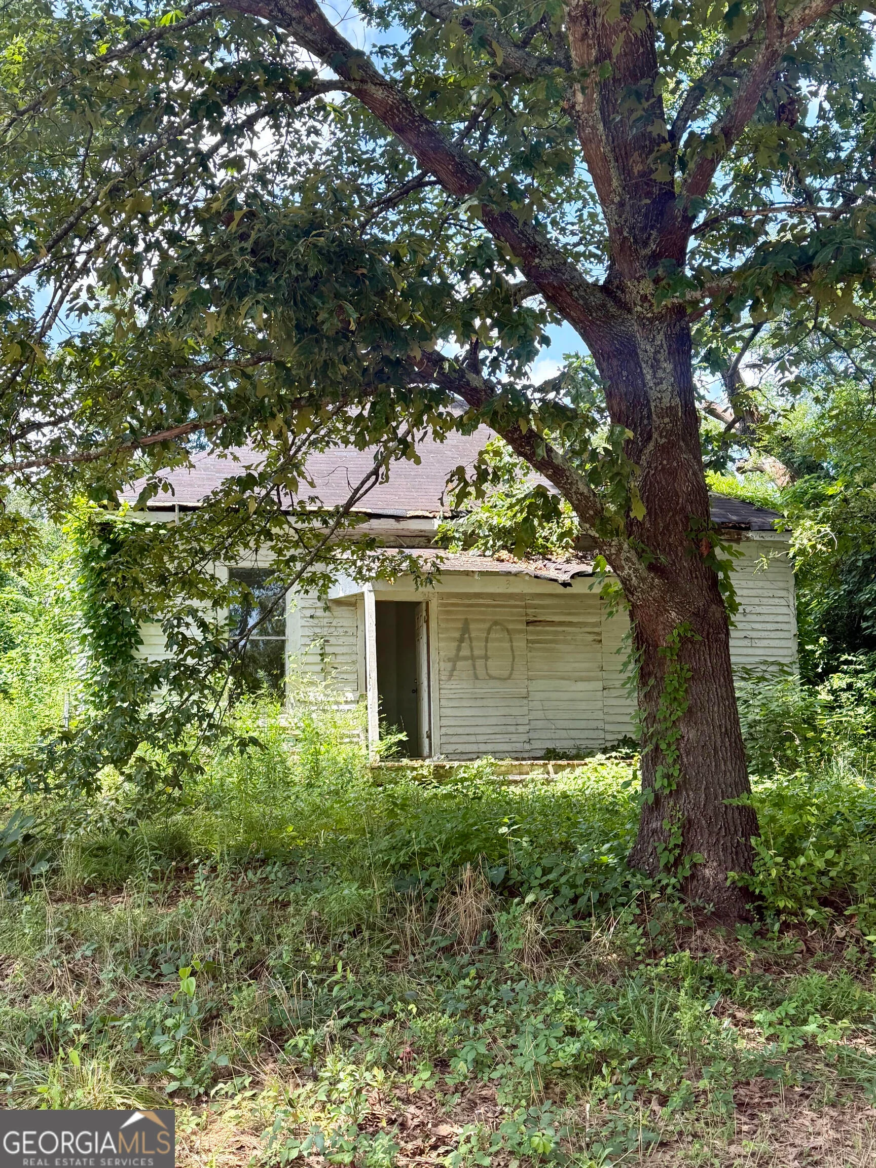 113 Elm Street
