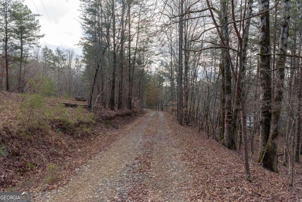 Photo of 1475 Paradise Park Road, Cornelia, GA 30531 (MLS # 10701614)